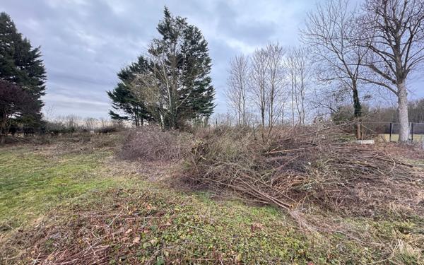 Terrain à vendre    Reims