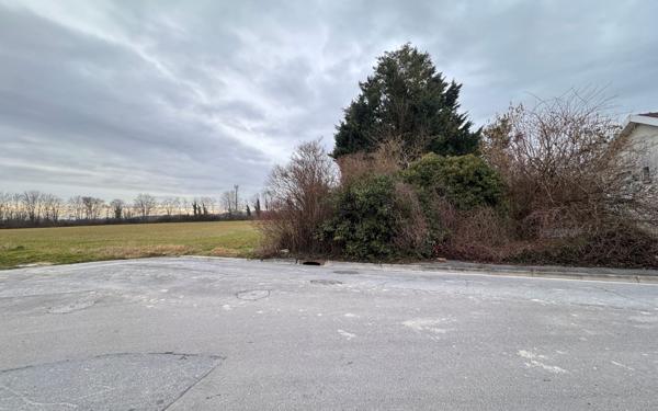 Terrain à vendre    Reims