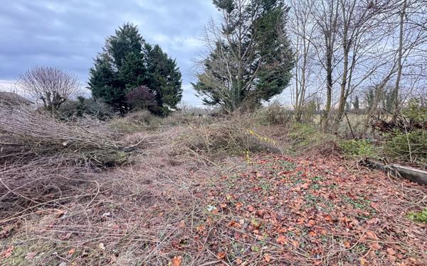 Terrain à vendre    Reims