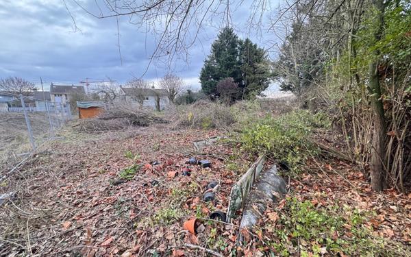 Terrain à vendre    Reims