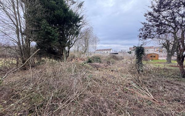 Terrain à vendre    Reims