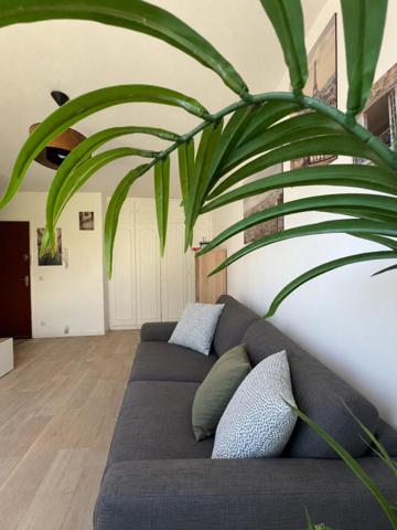 Studio 24 m² - balcon, centre, idéal investisseur