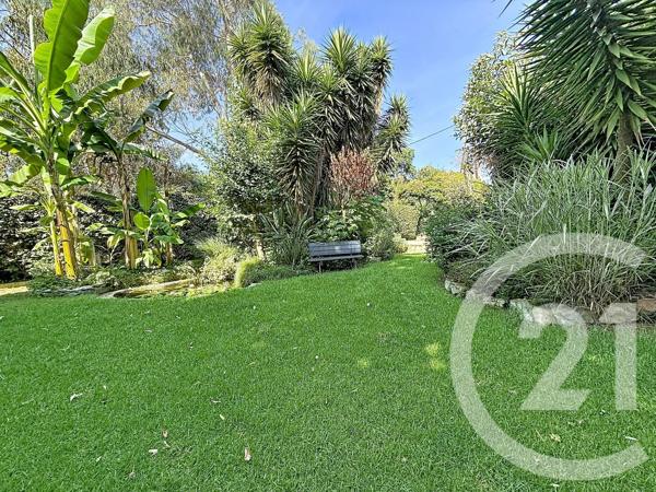 Maison à vendre  9 pièces - 220 m 2   SAN NICOLAO  - 202