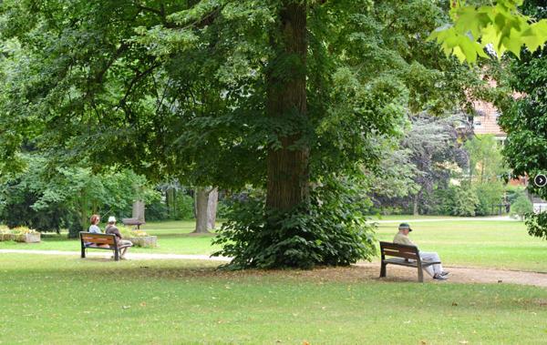 Un cadre de vie exceptionnel à OBERNAI face au parc