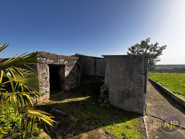 Vente maison Le Loroux Bottereau : 244 000 € - AJP Immobilier Le Loroux-Bottereau