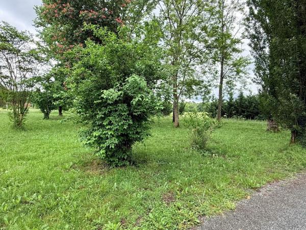 A LOUER MAISON 3 CHAMBRES sur 5000 m² A CAVIGNAC Cavignac (33620)