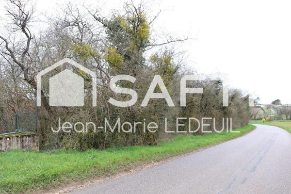 Terrain de loisir, verger.