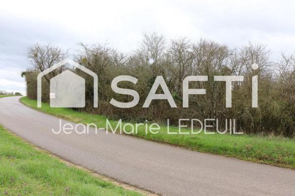 Terrain de loisir, verger.