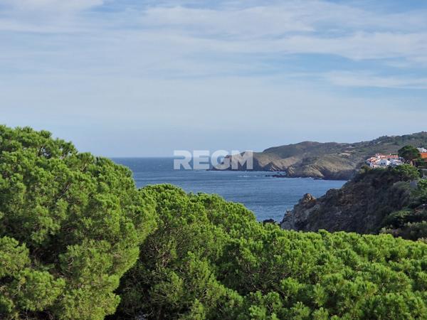 Banyuls-sur-Mer (66650) magnifique appartement vue mer BAISSE DE PRIX , une perle a banyuls