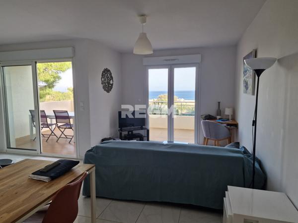 Banyuls-sur-Mer (66650) magnifique appartement vue mer BAISSE DE PRIX , une perle a banyuls