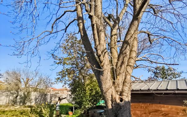 Maison à vendre    4 pièces •  Toulouse