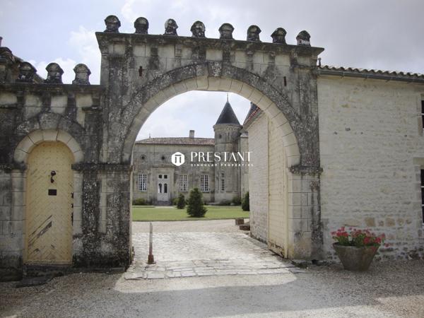 Chateau Féerique avec 2 gites indépendants, 3 piscines, salle de réception, et 20 chambres, PONS
