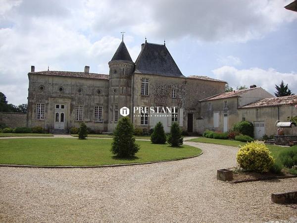 Chateau Féerique avec 2 gites indépendants, 3 piscines, salle de réception, et 20 chambres, PONS