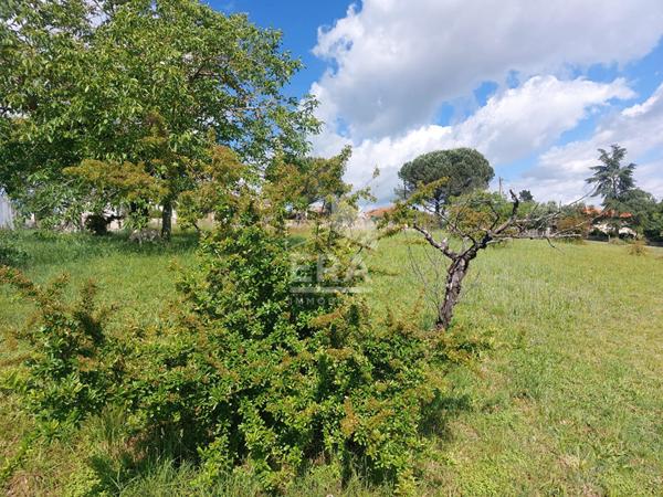 Terrain Graulhet 3400 m2