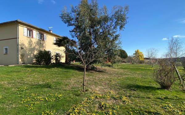 Maison à louer    5 pièces •  Villemur-sur-Tarn