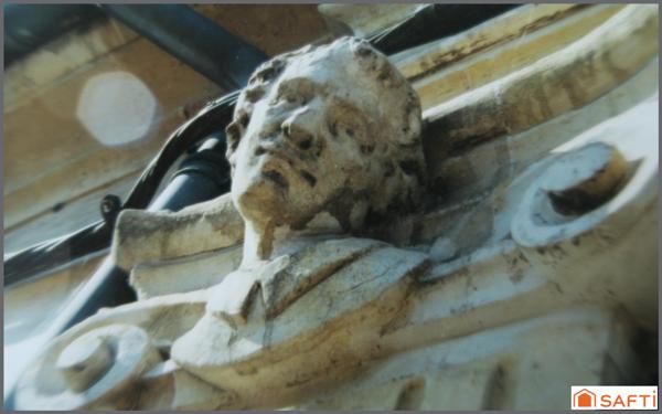 Maison centre ville de 247m2 avec jardin clos et arboré !