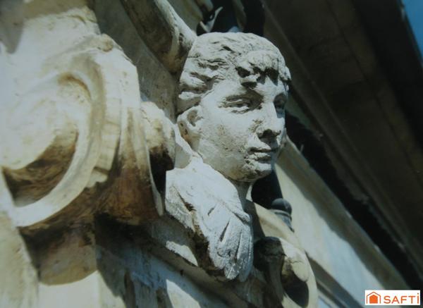 Maison centre ville de 247m2 avec jardin clos et arboré !