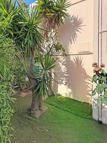 Vente                                                      Appartement
                        
                     4 pièces                      70 m2                     à L'Île-Rousse