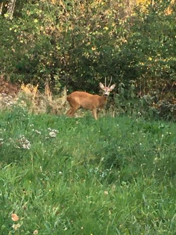 Saint-Martin-Bellevue (74370) Maison à étage,130 m², 3 chambres, sur sous sol complet sur un green de 1528 m², garage et porche