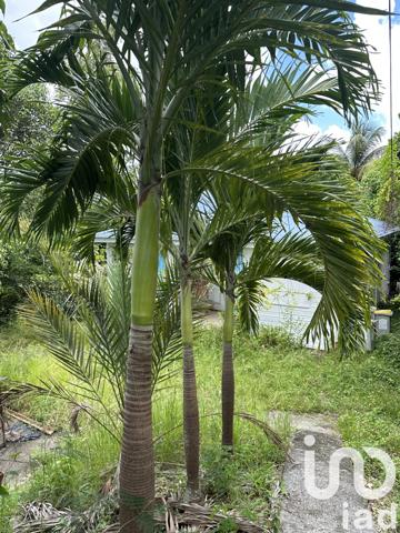 Maison à vendre 4 pièces 51 m² Le Gosier