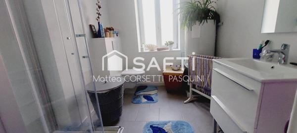 Maison de maître de caractère + Revenus locatifs complémentaires