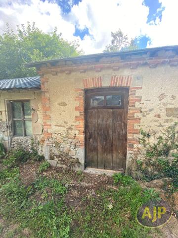 Location maison Palluau : 835 € - AJP Immobilier Challans