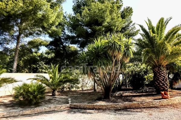 Propriété à vendre 8 pièces SAINT CYR SUR MER (83) Terrain 2000 m2, Piscine, pool-house