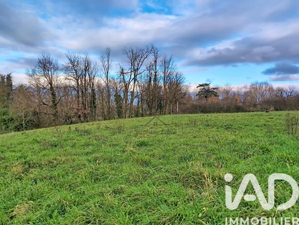 Terrain à vendre 3 100 m² Nègrepelisse