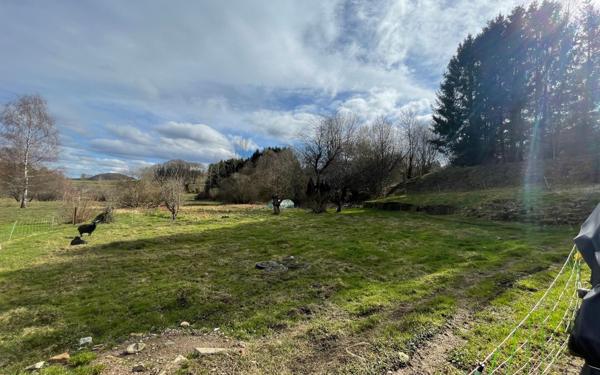 Maison à vendre    3 pièces •  Herpelmont