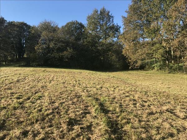 Terrain à vendre |  Objat |  5360 m²