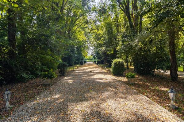 Vente Château Bordeaux 10 Pièces 700 m²