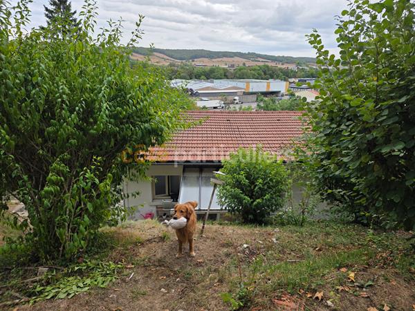 Vente
                Maison91,9 m² - 4 Pièces -
                    SAVONNIERES DEVANT BAR (55000)