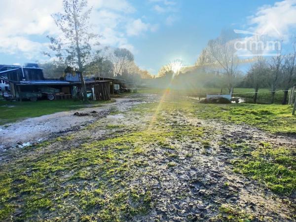 Vente de la nue propriété d'une maison à Onzain– Une opportunité en campagne.