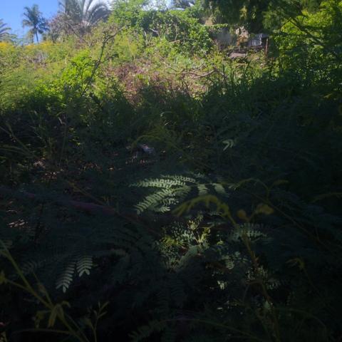 Terrain a batir avec maison a detruire