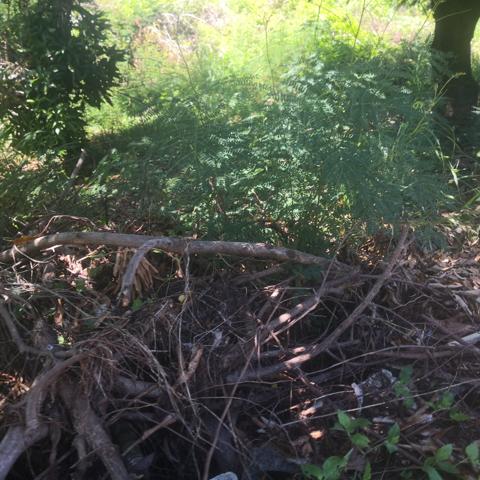 Terrain a batir avec maison a detruire