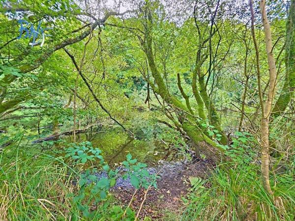 Maison à vendre à Quimperlé dans le Finistère (29300), ref : 29143-41
