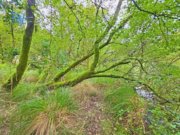 Maison à vendre à Quimperlé dans le Finistère (29300), ref : 29143-41