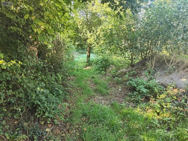 Terrain à Batir à vendre à Nouvoitou en Ille-et-Vilaine (35410), ref : 097/2524   
Centre ville
