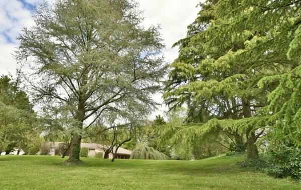Vente Maison Réf : Giroflée Cholet