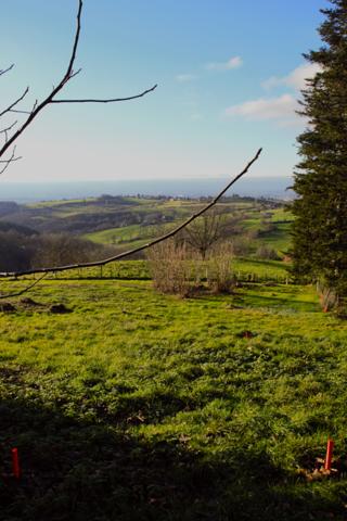 Vente / Terrain constructible