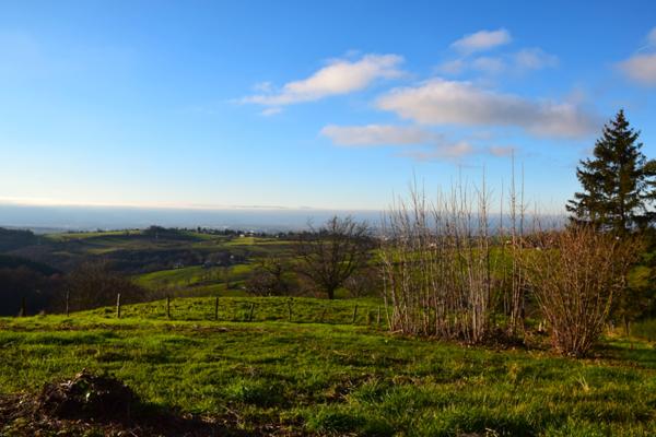 Vente / Terrain constructible