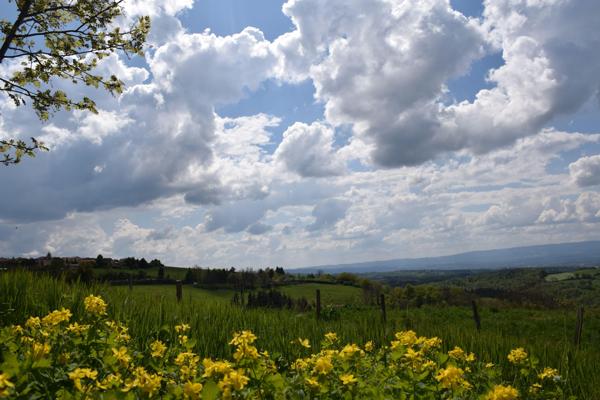 Vente / Terrain constructible