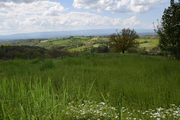 Vente / Terrain constructible