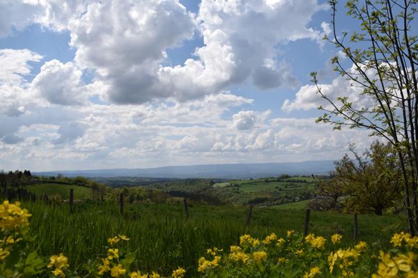 Vente / Terrain constructible