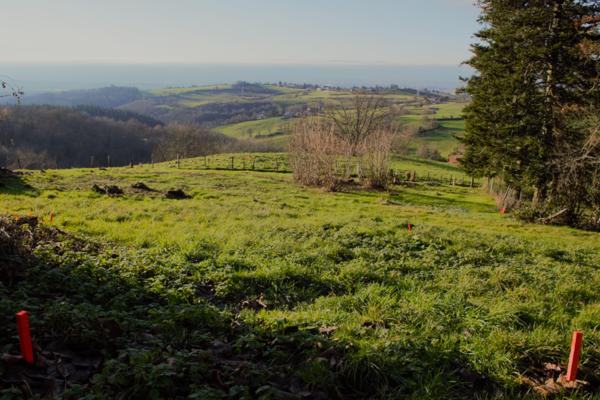 Vente / Terrain constructible