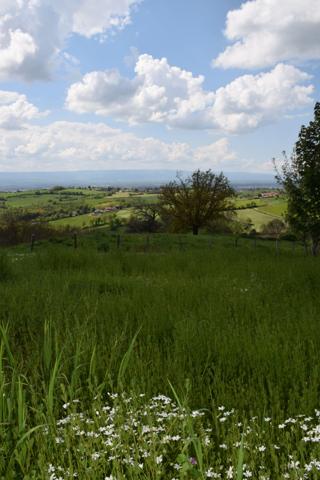 Vente / Terrain constructible