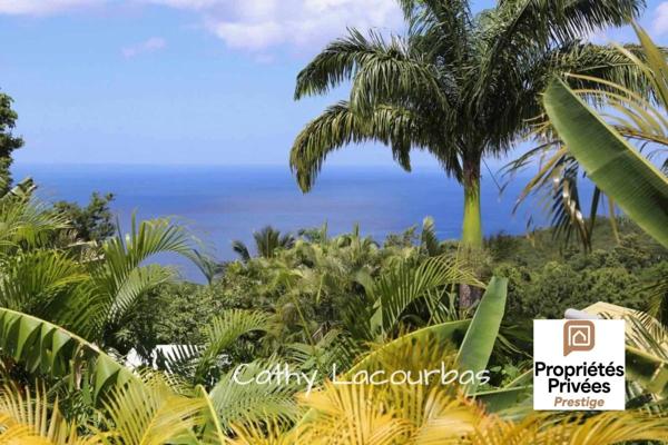 2 Villas vue exceptionnelle mer et piscines - Pointe Noire,Guadeloupe