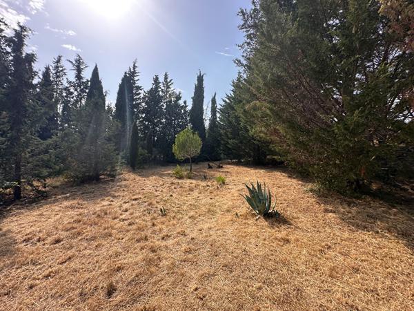 Charmante grange réaménagée avec jardin Laure minervois