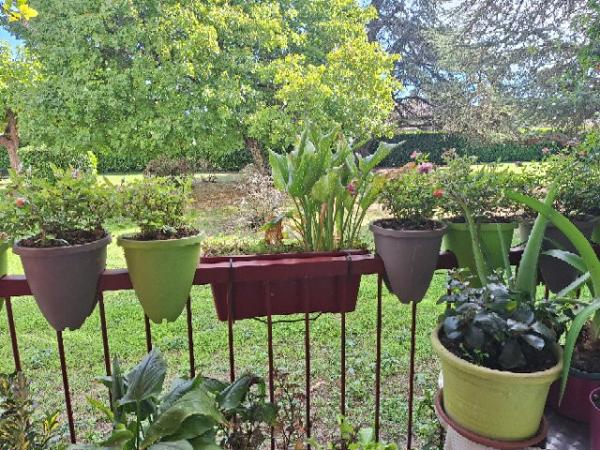 Achat vente Appartement Libourne