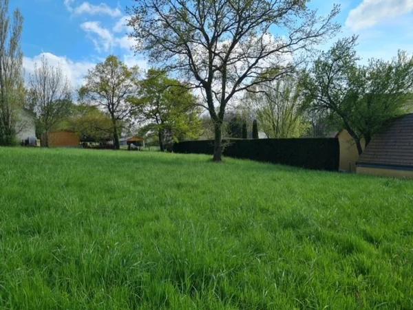 Terrain à vendre à Allériot (71380)